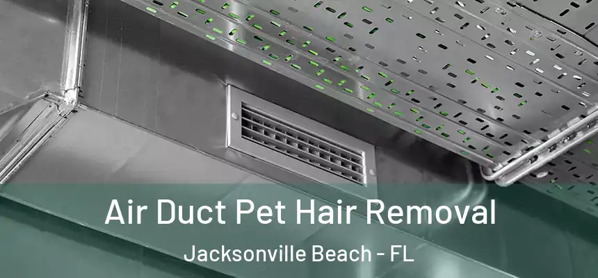 Air Duct Pet Hair Removal Jacksonville Beach - FL