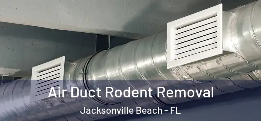 Air Duct Rodent Removal Jacksonville Beach - FL