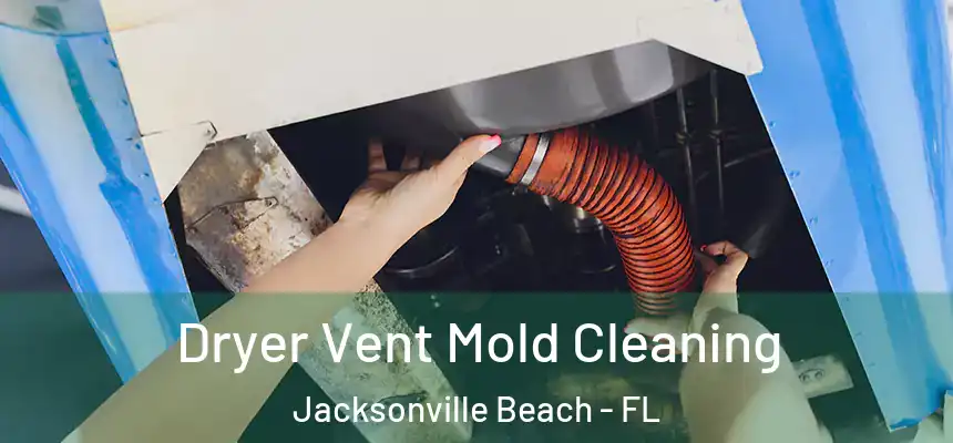 Dryer Vent Mold Cleaning Jacksonville Beach - FL