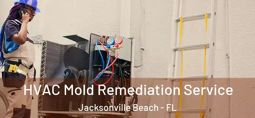 HVAC Mold Remediation Service Jacksonville Beach - FL