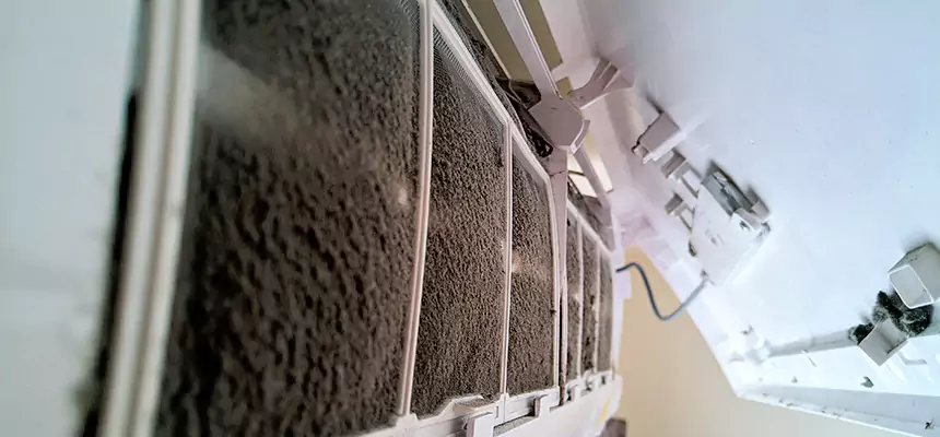 Preventive Air Duct Bacteria Removal in Jacksonville Beach