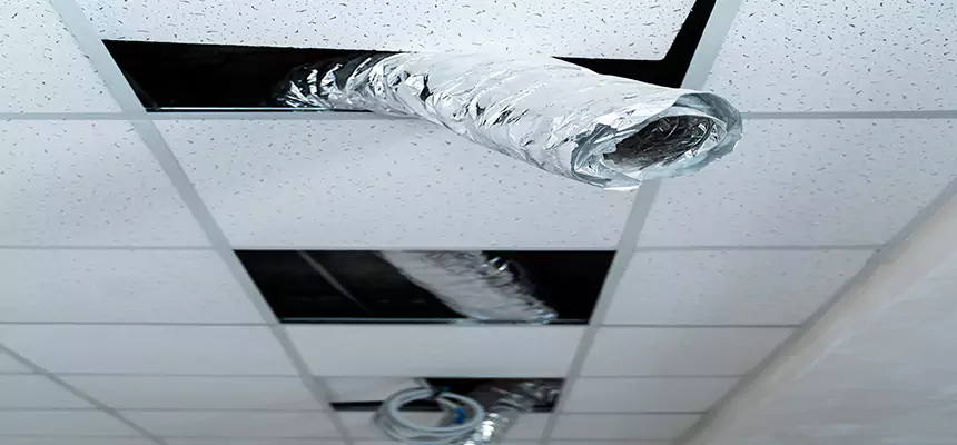 Our Air Duct Pet Hair Removal Services in Jacksonville Beach, FL