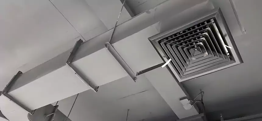 Restorative Allergy Relief Vent Cleaning – Coil, Blower & Housing Detail in Jacksonville Beach