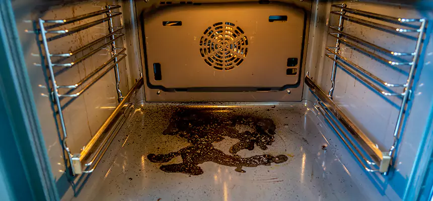 Our Dryer Vent Mold Cleaning Services in Jacksonville Beach, FL