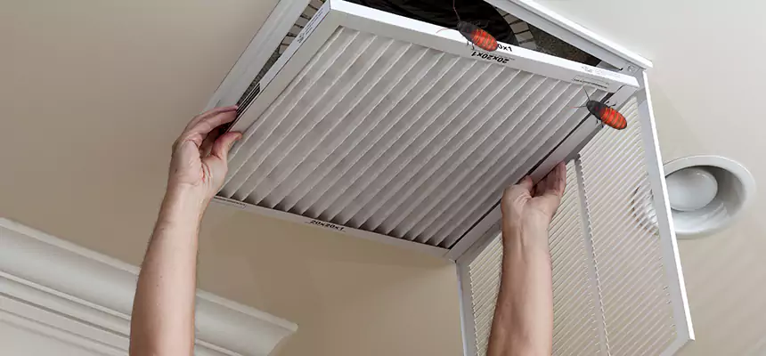 Our Insect Removal from Air Ducts Services in Jacksonville Beach, FL