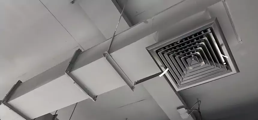 Our Rodent Droppings In Vents Services in Jacksonville Beach, FL