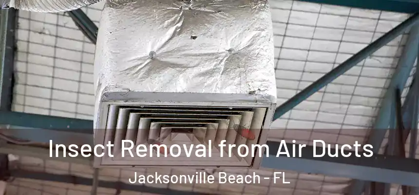 Insect Removal from Air Ducts Jacksonville Beach - FL