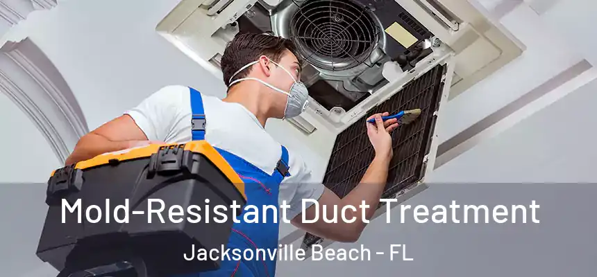 Mold-Resistant Duct Treatment Jacksonville Beach - FL