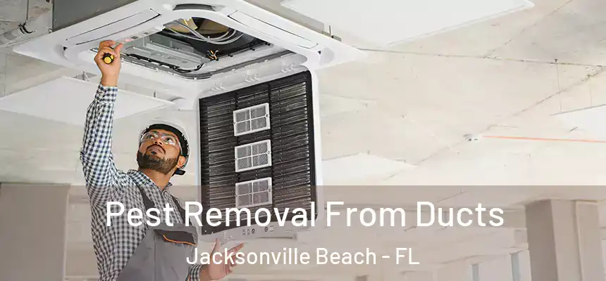 Pest Removal From Ducts Jacksonville Beach - FL