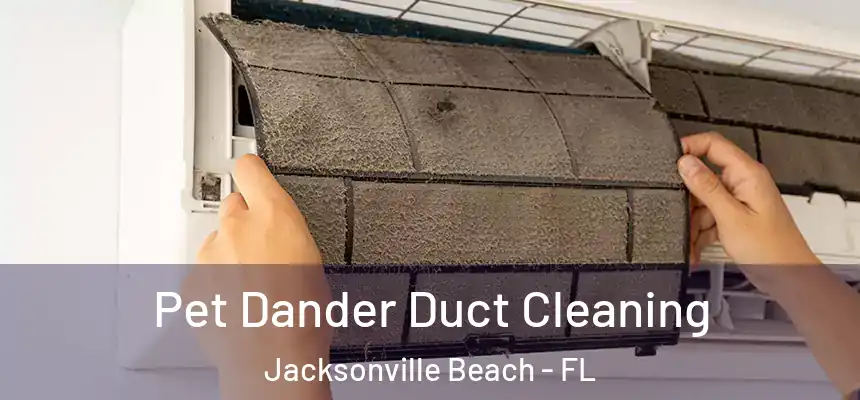 Pet Dander Duct Cleaning Jacksonville Beach - FL