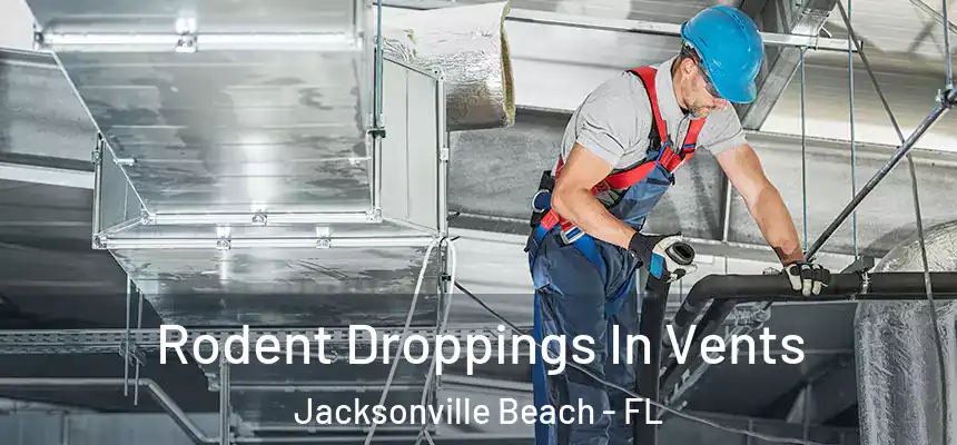 Rodent Droppings In Vents Jacksonville Beach - FL
