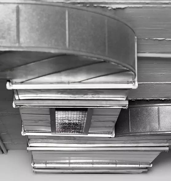 Professional Air Duct Pet Hair Removal in Jacksonville Beach, FL