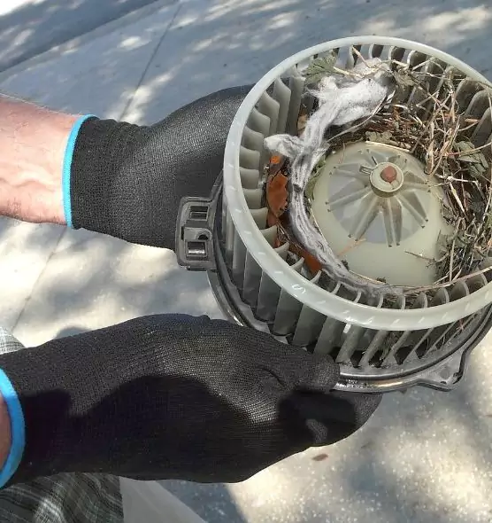 About Air Duct Rat Removal in Jacksonville Beach, FL