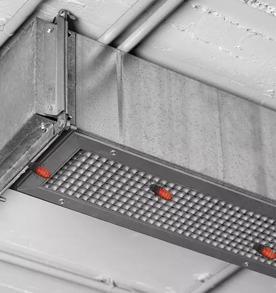 Affordable Insect Removal from Air Ducts in Jacksonville Beach, FL