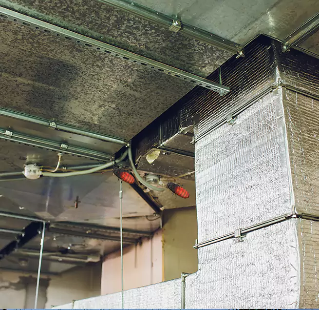 Why Homeowners & Businesses Trust Us Jacksonville Beach, FL?