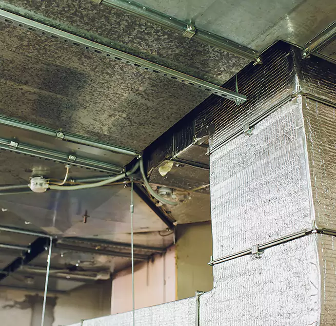 Why Homeowners & Businesses Trust Us in Jacksonville Beach, FL?