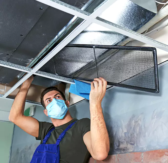 Why Homeowners & Businesses Trust Us in Jacksonville Beach, FL?